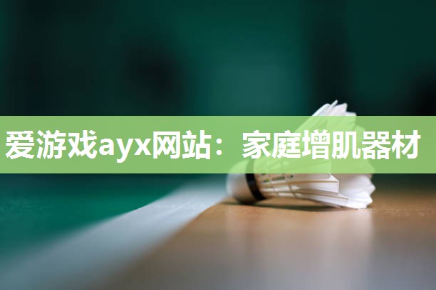 爱游戏ayx网站：家庭增肌器材