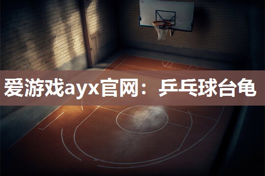 爱游戏ayx官网：乒乓球台龟