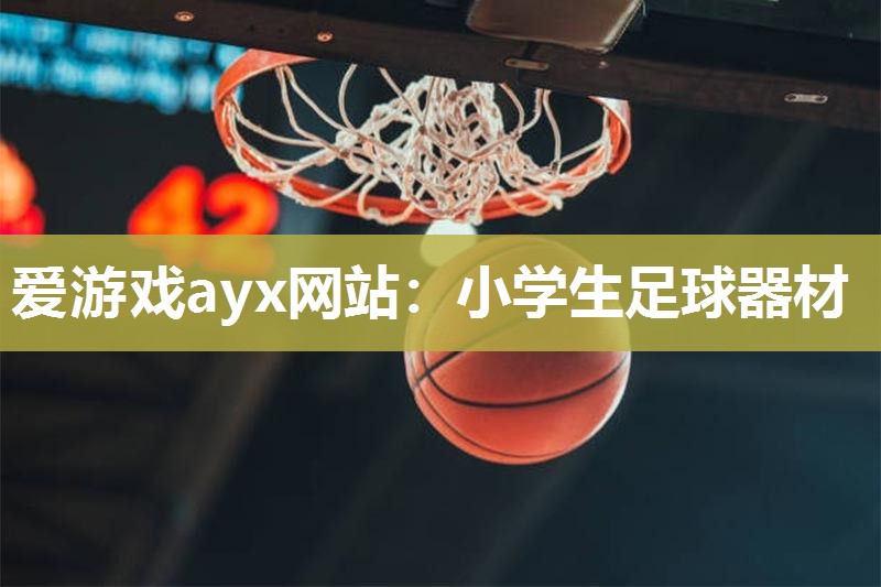 爱游戏ayx网站：小学生足球器材