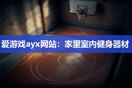 爱游戏ayx网站：家里室内健身器材