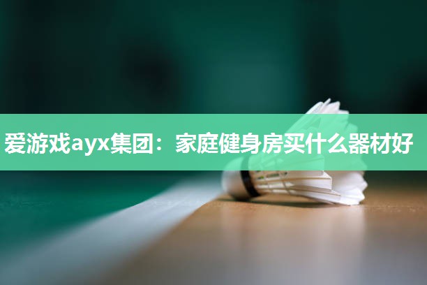 爱游戏ayx集团：家庭健身房买什么器材好