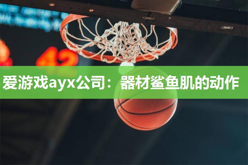 爱游戏ayx公司：器材鲨鱼肌的动作