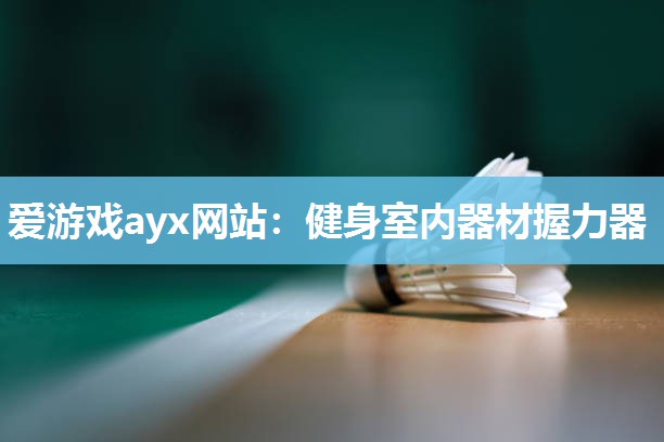 爱游戏ayx网站：健身室内器材握力器