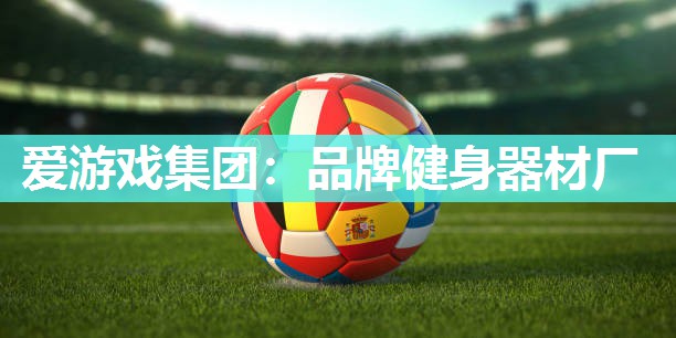 爱游戏集团：品牌健身器材厂