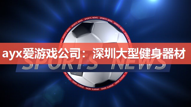 ayx爱游戏公司：深圳大型健身器材