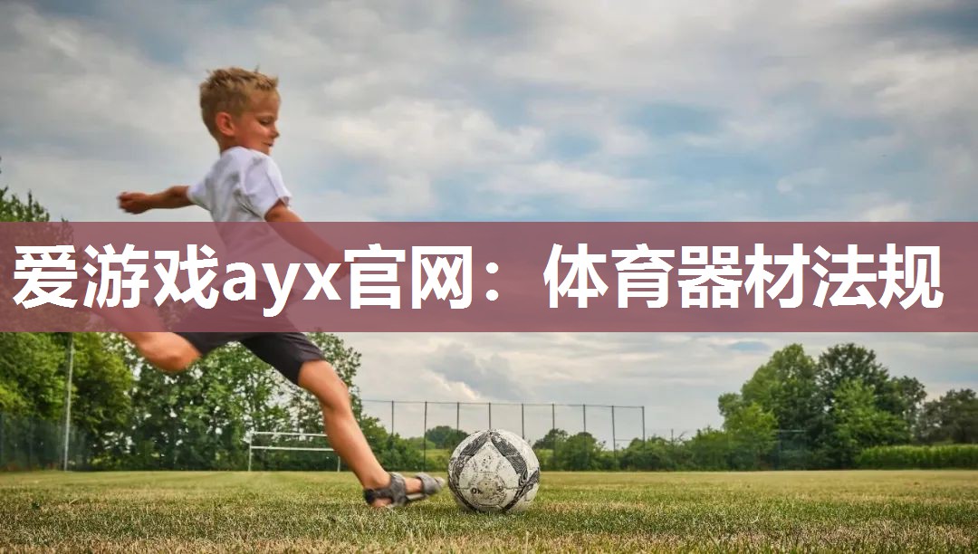 爱游戏ayx官网：体育器材法规