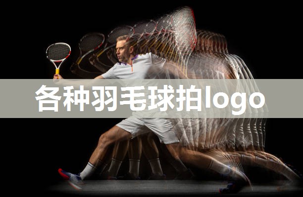 各种羽毛球拍logo