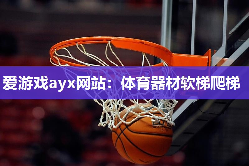 爱游戏ayx网站：体育器材软梯爬梯