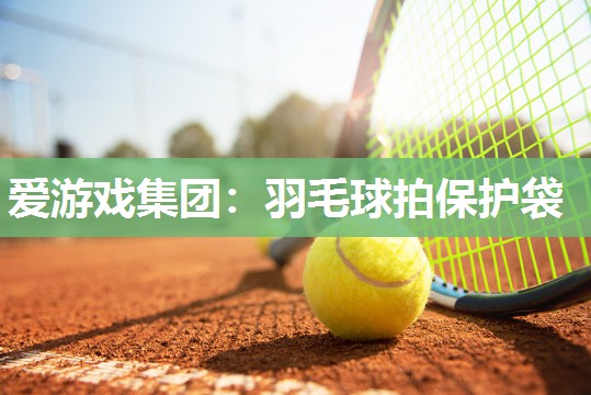 爱游戏集团：羽毛球拍保护袋