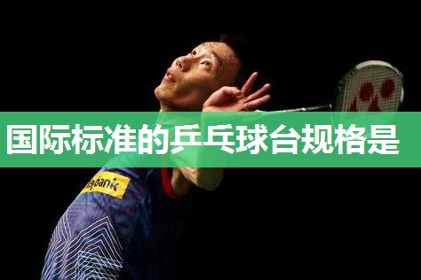 国际标准的乒乓球台规格是