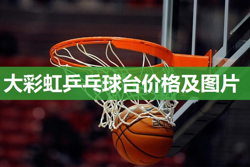 大彩虹乒乓球台价格及图片