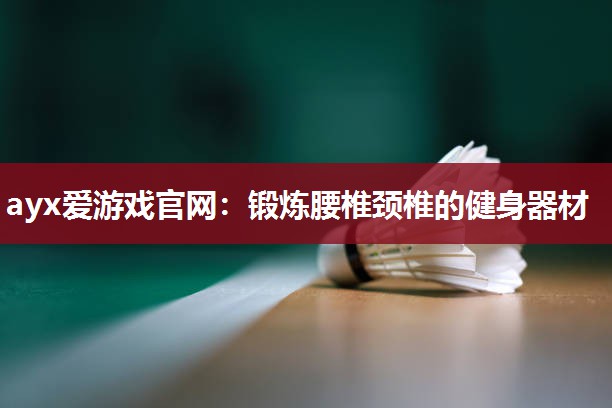 ayx爱游戏官网：锻炼腰椎颈椎的健身器材