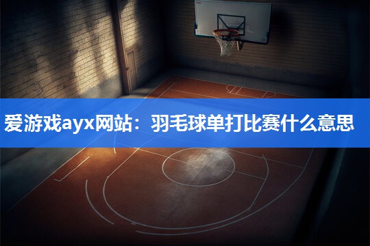 爱游戏ayx网站：羽毛球单打比赛什么意思