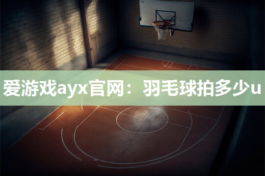 爱游戏ayx官网：羽毛球拍多少u