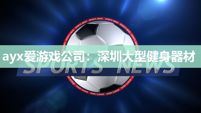 深圳大型健身器材