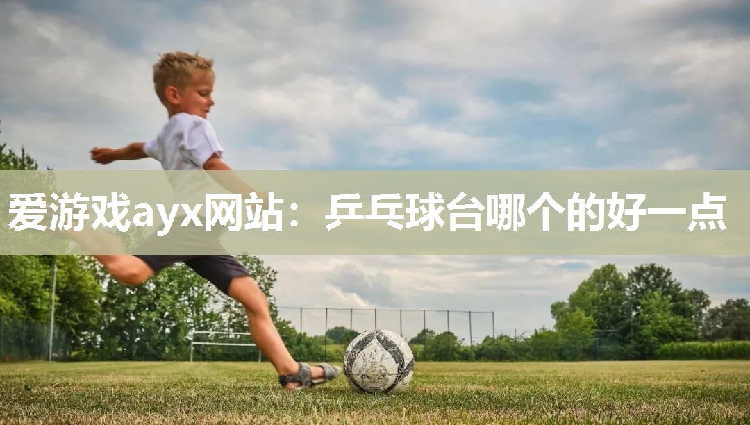 乒乓球台哪个的好一点