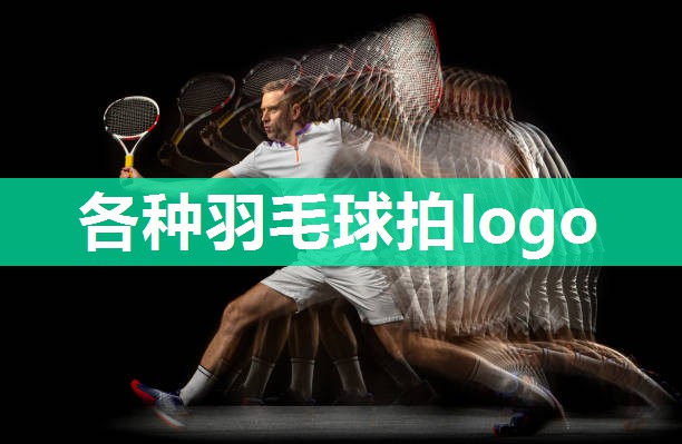 各种羽毛球拍logo