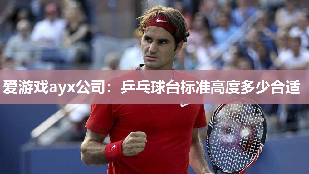 乒乓球台标准高度多少合适