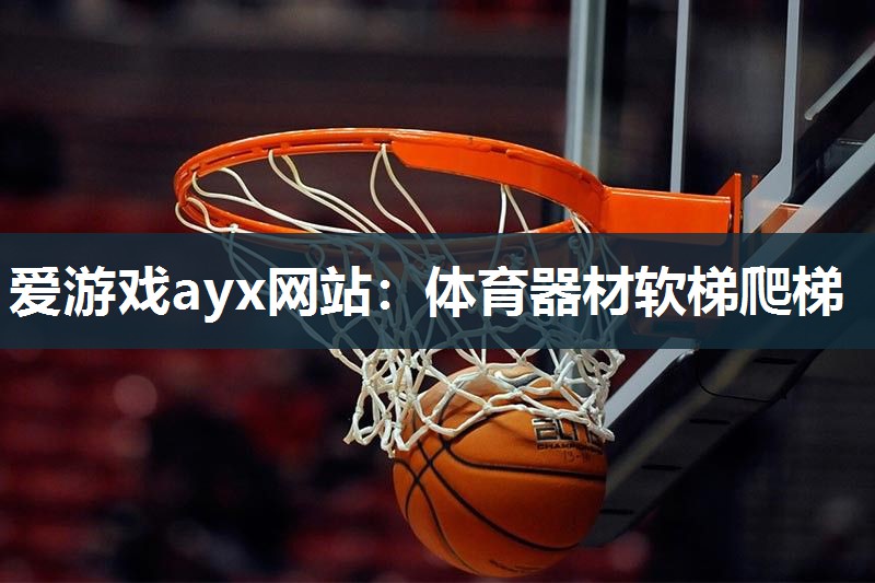 体育器材软梯爬梯