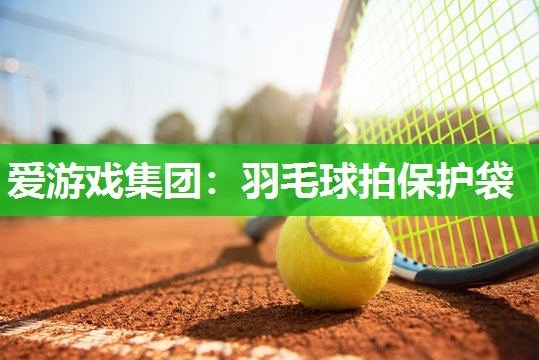 羽毛球拍保护袋