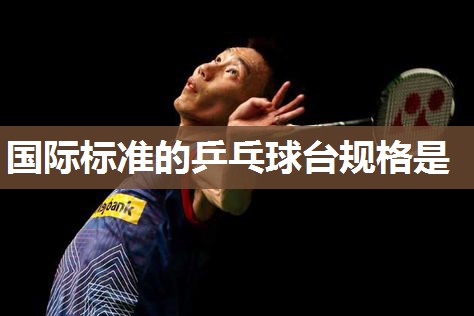 国际标准的乒乓球台规格是