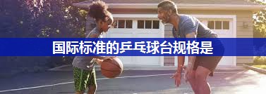 国际标准的乒乓球台规格是