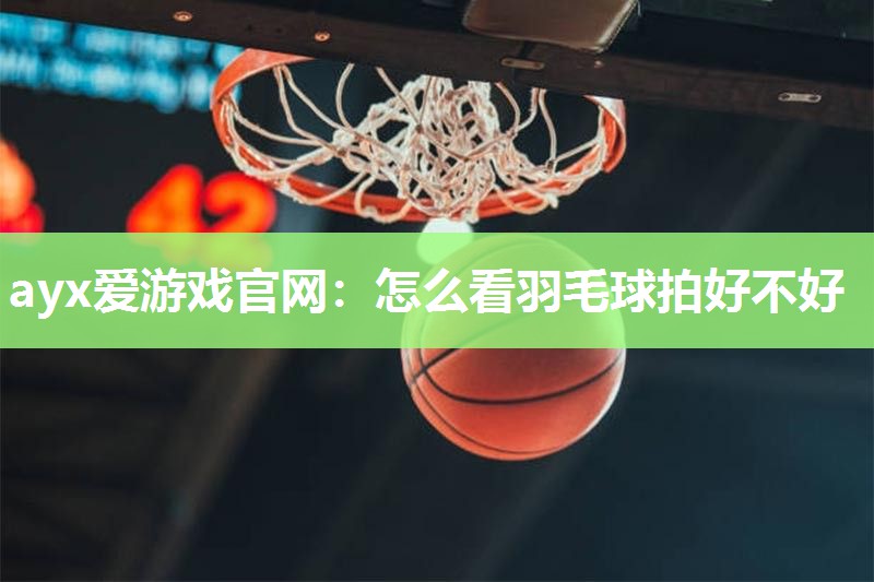 怎么看羽毛球拍好不好