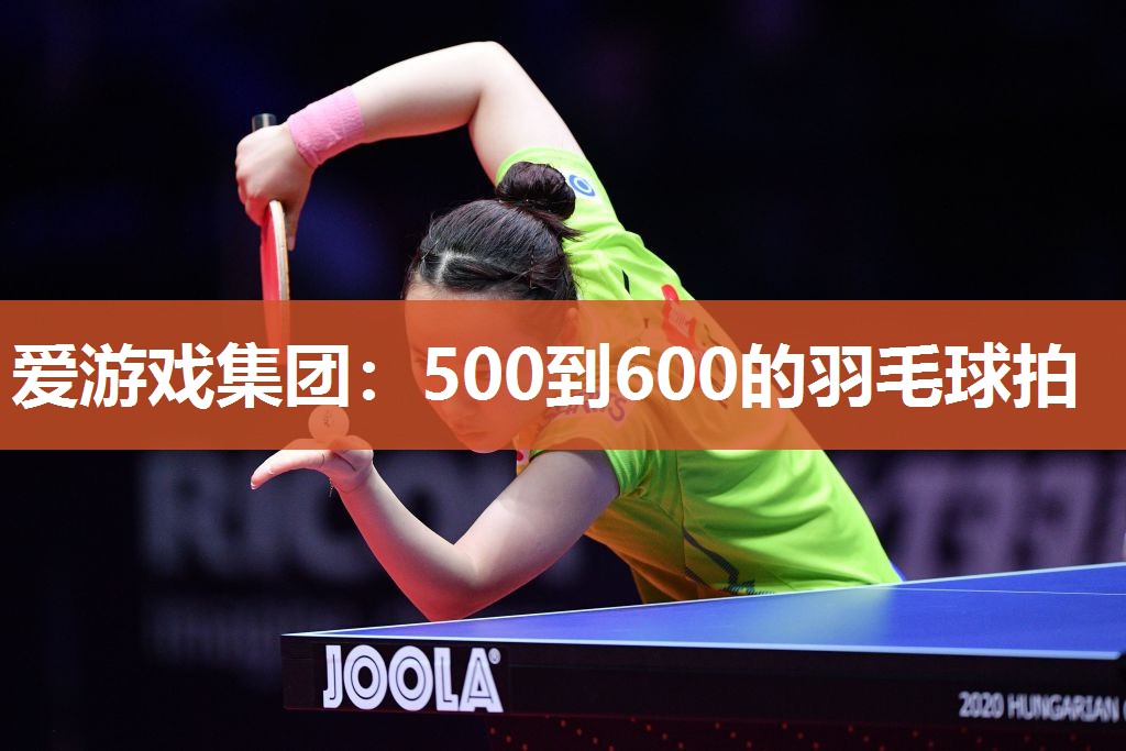 500到600的羽毛球拍