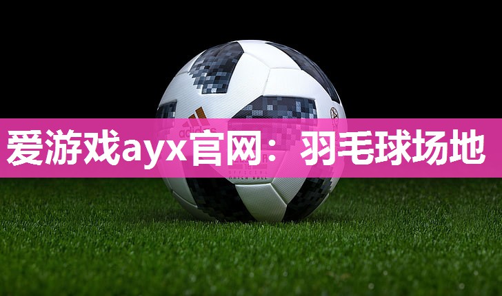 羽毛球场地